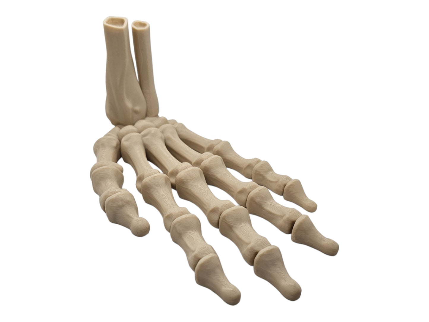 Skeleton hand, unique gift, Halloween décor, articulated hand